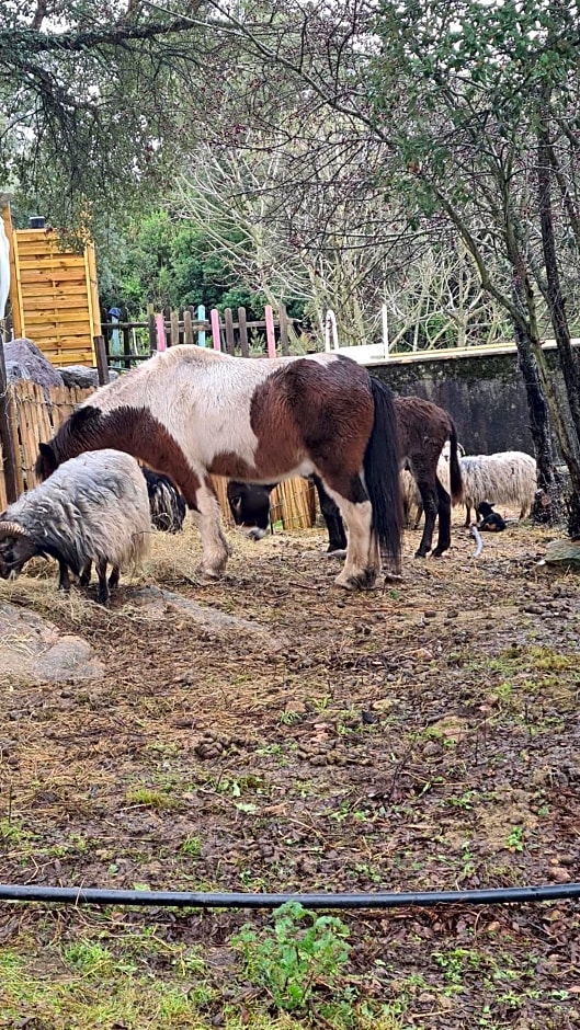 Gîte atypique Le Pod au coeur du maquis