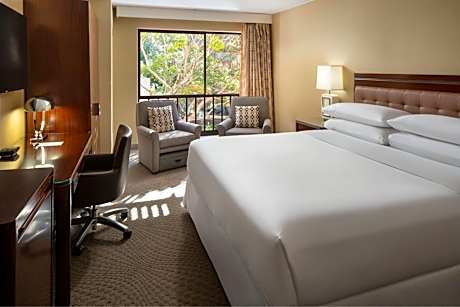 Deluxe, Guest room, 1 King