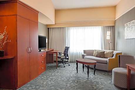 1 Bedroom 2 room Suite, 1 King, Sofa bed