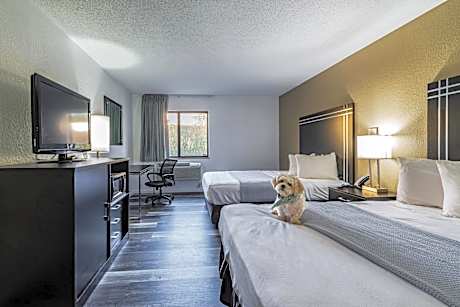 Queen Room with Two Queen Beds - Non Smoking/Pet Friendly