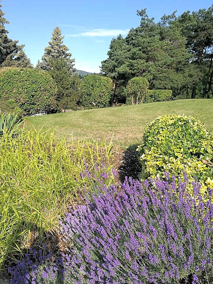 Hotel & Restaurant Bergfried