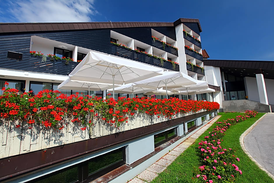 Hotel Breza