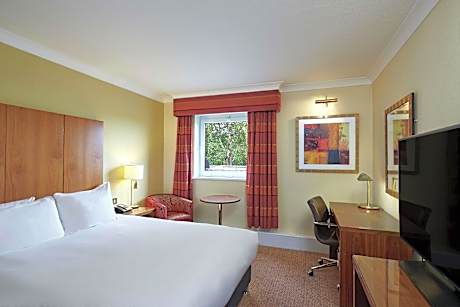 Hilton Guestroom