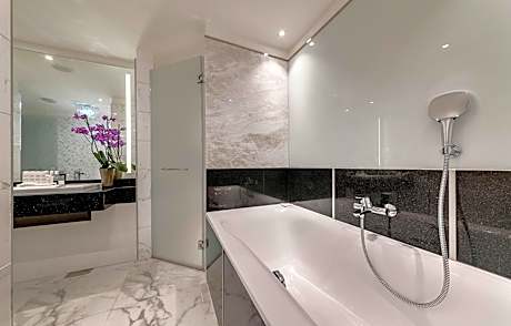 Executive Room Park Facing with Lounge Access